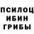 Галлюциногенные грибы прущие грибы Georgio Lyaboga
