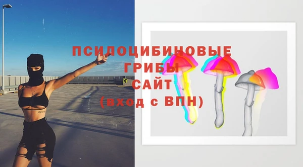 МДПВ Гусь-Хрустальный