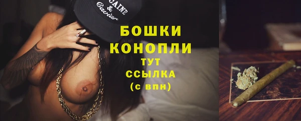 дурь Горно-Алтайск